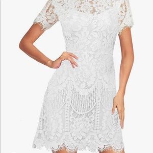MSLG Women's Elegant Round Neck V-Back Wedding Guest Floral Lace Cocktail Party